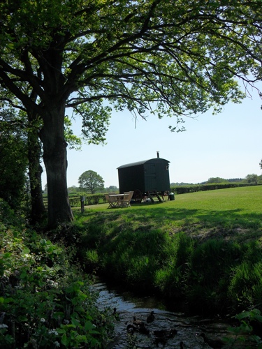 The Radnor - Shepherd's Hut